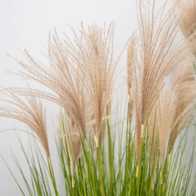 flame resistant grasses